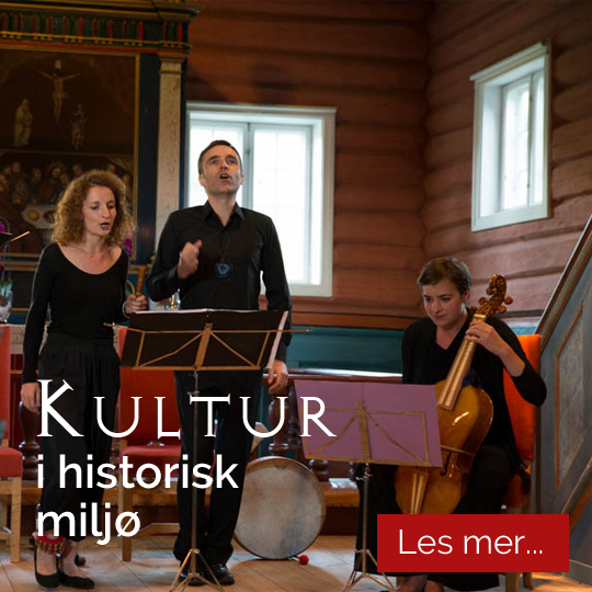 Kultur i historisk miljø